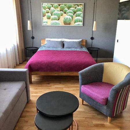 Kaktuss Apartamenti Смилтене Экстерьер фото