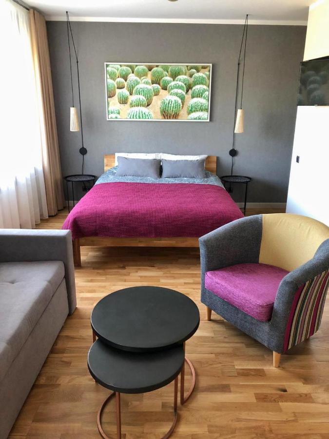 Kaktuss Apartamenti Смилтене Экстерьер фото