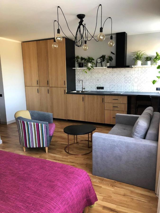 Kaktuss Apartamenti Смилтене Экстерьер фото