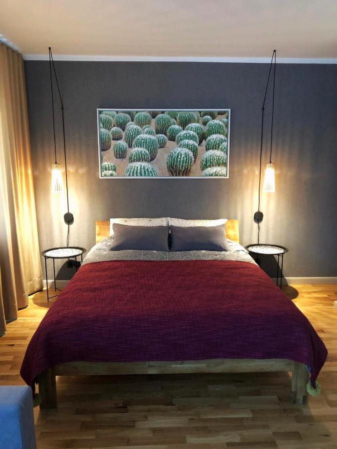 Kaktuss Apartamenti Смилтене Экстерьер фото
